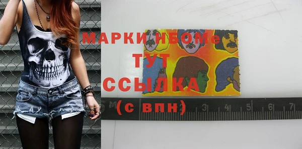 индика Балахна