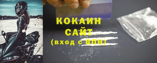 индика Балахна