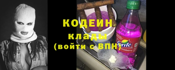 индика Балахна