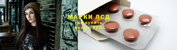 индика Балахна