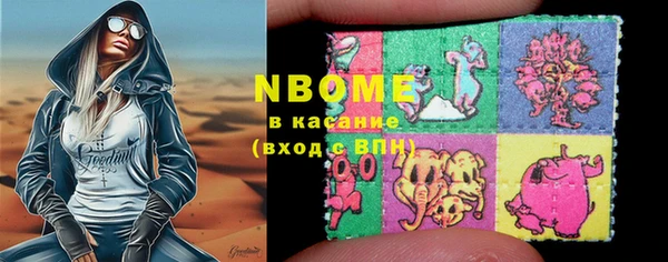 индика Балахна