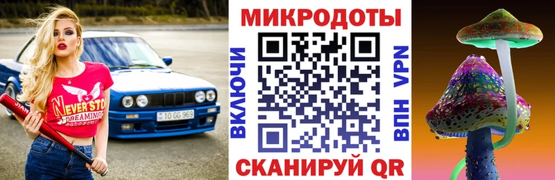 Галлюциногенные грибы Psilocybe блэк спрут зеркало Верхний Тагил